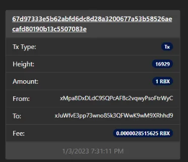 The broadcast transaction in the explorer