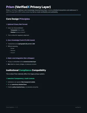 Privacy Layer Explainer cover